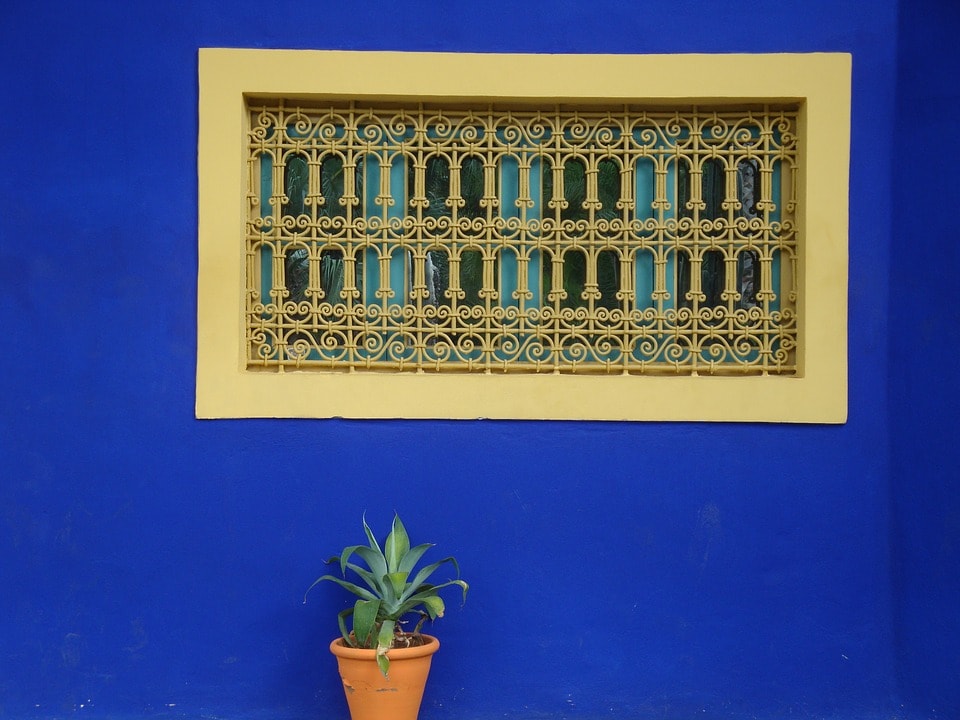 ScentofTravel-Destinazioni-Marocco-Marrakech-Giardini Majorelle