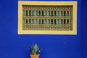 ScentofTravel-Destinazioni-Marocco-Marrakech-Giardini Majorelle