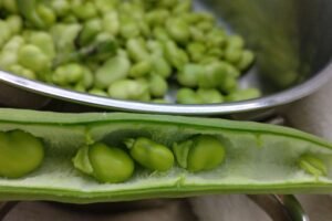 Scent of Travel - Scentoftravel - Cucina toscana - Toscana - Cosa mangiare